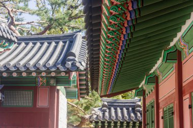 Güney Kore 'nin Seul kentindeki en önemli kültürel turizm merkezlerinden biri olan Gyeongbokgung Sarayı' nın manzaraları. Gyeongbokgung Sarayı, hem yerli hem de turistler için popüler bir yer. Geleneksel Kore mimarisi.