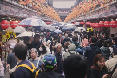 Tokyo, Japonya - 2 Kasım 2024: Tokyo, Tokyo 'nun en eski tapınağı Senso-ji' de yağmurlu bir gün. Sensoji, Tokyo 'daki Asakusa Kannon Tapınağı olarak da bilinir..