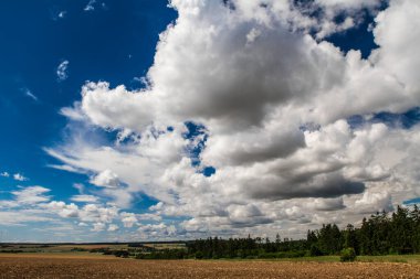 Summer countryside with cloudy sky.