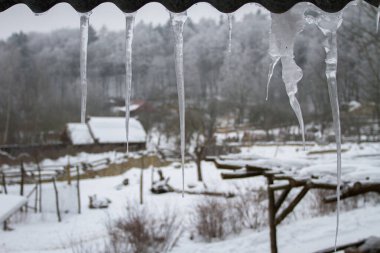 Icicles on a eaves.