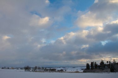 Çayır ve mavi gökyüzü.