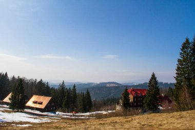 Spring landscape with cottages.