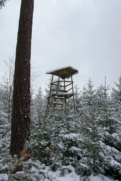 Hunting shelter in forest.