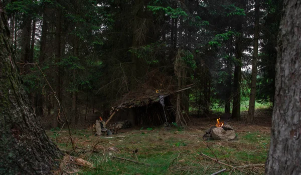 Shelter in a forest.