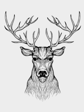 Bir geyiğin resmi.