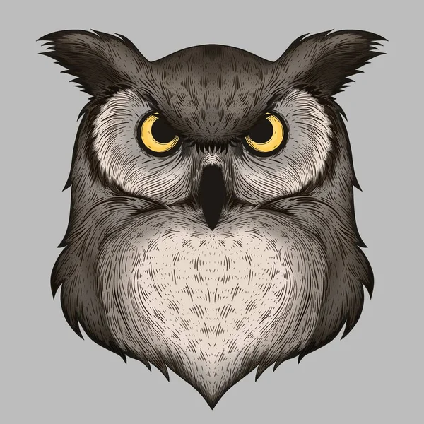 Illustration Owl Vector — Stock Vector