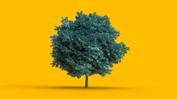 Καθιστούν Μπλε Δέντρο Κίτρινο Φόντο Σκιά Ηλιοφάνειας — Φωτογραφία Αρχείου