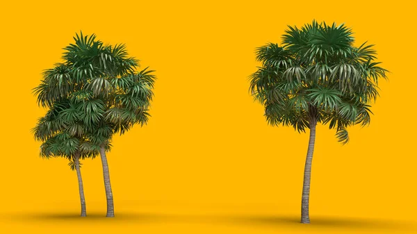 Render Green Palm Trees Right Left Sides Yellow Background Space — Stock Photo, Image