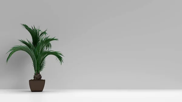 Render Leere Wandattrappe Warmen Neutralen Beigen Raum Mit Palmenpflanze Links — Stockfoto