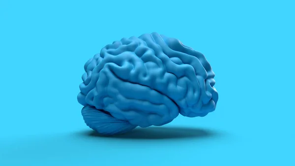 Render Human Brain Side View Technology Mind Medicine Headache — Stock Photo, Image