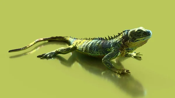 Render Green Lizard Metallic Glitter Green Background Dynamic Pose — Stock Photo, Image