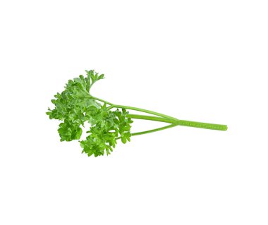 Beyaz arka planda maydanoz