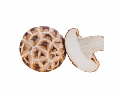 Chiitake mantarı beyaz arkaplanda izole edildi