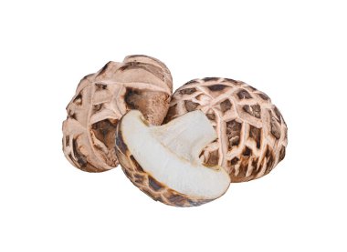 Chiitake mantarı beyaz arkaplanda izole edildi