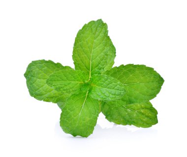 beyaz arkaplanda nane