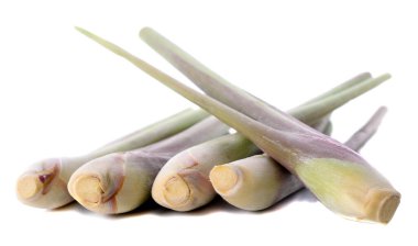 Beyaz arka planda limon otu