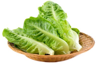 Beyaz arka planda taze marul (bebek çünkü)