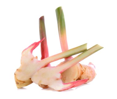 Beyaz arka planda taze galangal