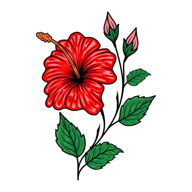 hibiscus çiçek vektör logosu. Yaprak, dal ve çiçek tasarım elementleri, etiketler, işaretler için. Vektör illüstrasyonu