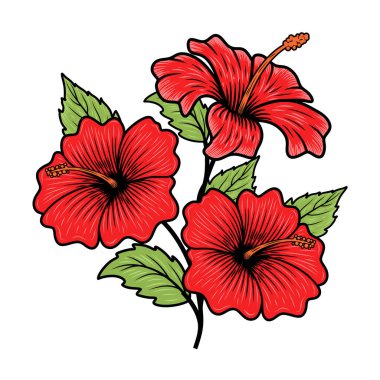 hibiscus çiçek vektör logosu. Yaprak, dal ve çiçek tasarım elementleri, etiketler, işaretler için. Vektör illüstrasyonu
