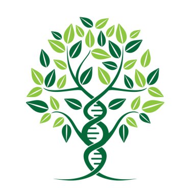 Genetik ağaç vektör logosu. Tıbbi ve sağlık için ağaç şekilli DNA kavramı.