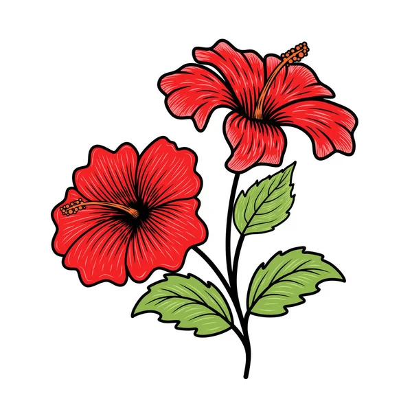 hibiscus çiçek vektör logosu. Yaprak, dal ve çiçek tasarım elementleri, etiketler, işaretler için. Vektör illüstrasyonu