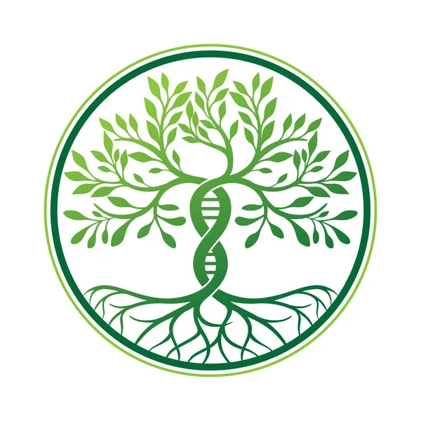 Logotipo Del Vector Del Árbol Genético Concepto Adn Con Forma — Archivo Imágenes Vectoriales