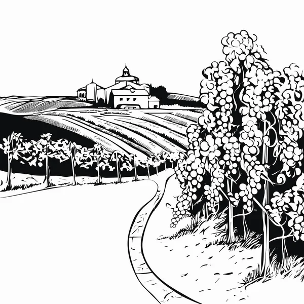 Гора Белым Зеленым Виноградником Христианском Празднике Стиле Черно Белых Чернил — стоковый вектор