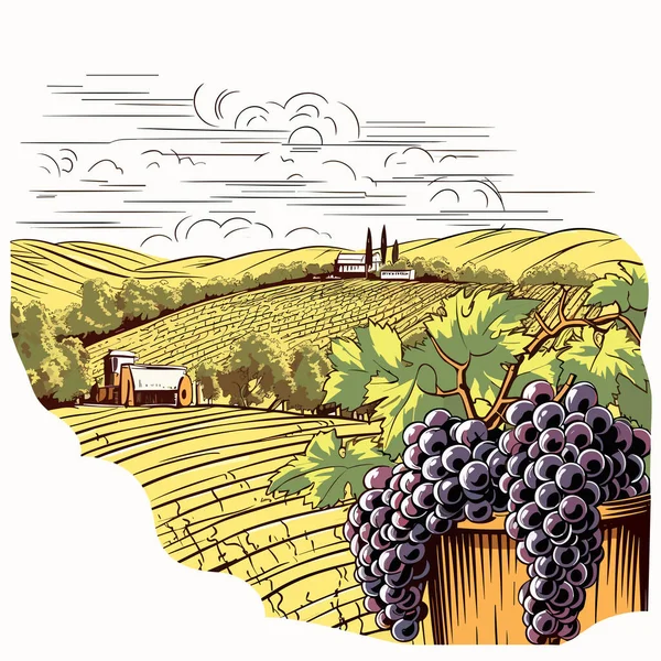トスカーナ風景とワインのガラスのヴィンテージスタイルのポストカード ウッドカットのスタイルで 孤立した風景 — ストックベクタ