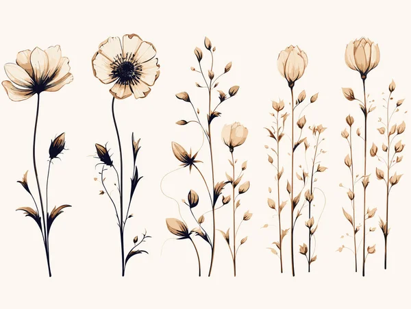 Etapy Wzrostu Kwiatów Stylu Ręcznie Rysowanym Ilustracje Stockowe bez tantiem
