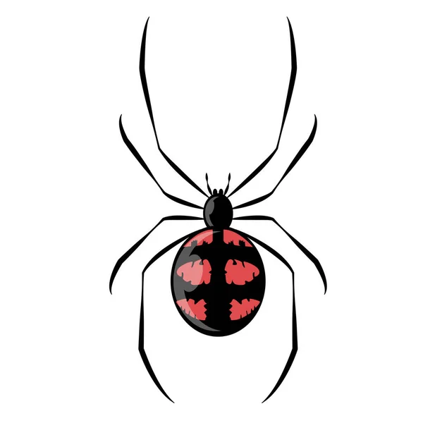 Black Red Spider Spider Close Big Scary Spider Isolated White — Stock Vector