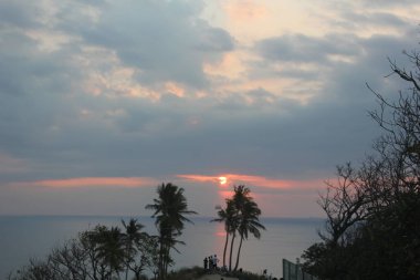 view of the beach and coconut trees at sunset.