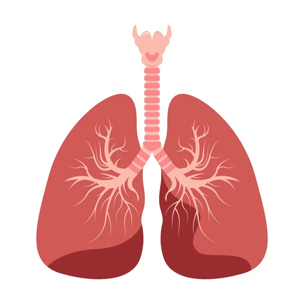 Akciğer Ikonu Düz Stil Nsan Tasarım Elementinin Organları Logo Anatomi — Stok Vektör