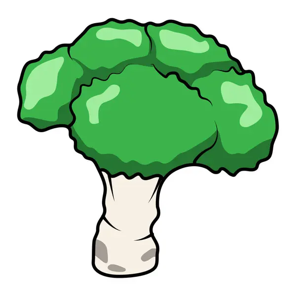 Basit Brokoli Sebzeleri Vektörü — Stok Vektör