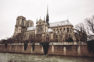 Paris, Fransa, Notre Dame de Paris cephesi, nehir manzaralı şehir manzarası