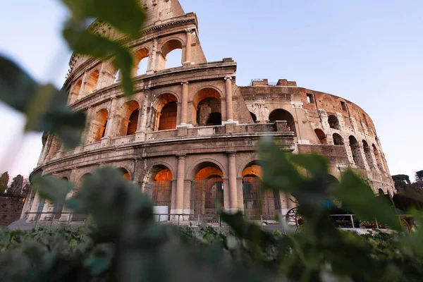 Rom Italy Colosseum Gamla Antika Byggnad Gladiator Strid Natten — Stockfoto