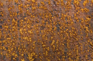 Metal bir yüzeye yakın pas.