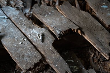 old broken boards destroyed house