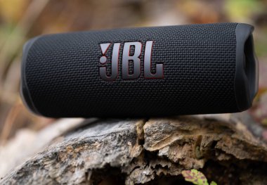LVIV, UKRAINE - OCTOBER 12, 2022: JBL Flip 6 Black, portable bluetooth speaker outdoors on a wooden log