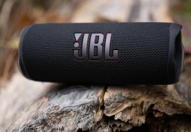 LVIV, UKRAINE - OCTOBER 12, 2022: JBL Flip 6 Black, portable bluetooth speaker outdoors on a wooden log