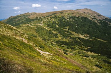 beautiful landscape mountains Carpathians in the Ukraine