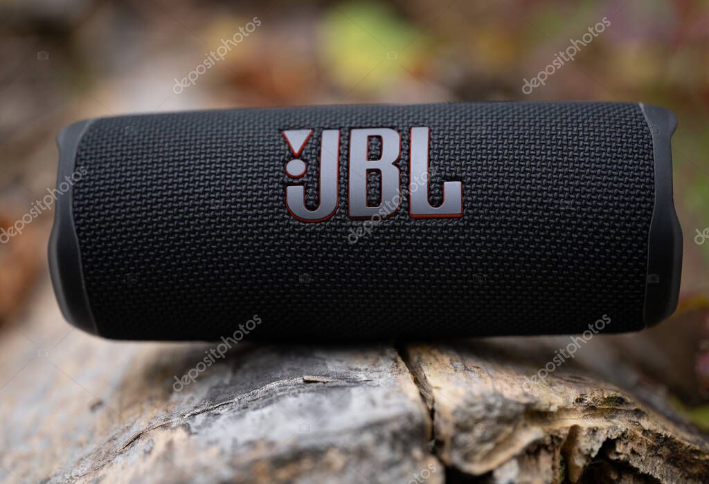 LVIV, UKRAINE - OCTOBER 12, 2022: JBL Flip 6 Black, portable bluetooth speaker outdoors on a wooden log