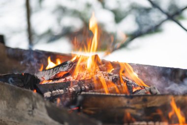 Güzel ateş rengarenk şenlik ateşi yemek pişirmek için ızgarada yanıyor.