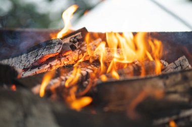 Güzel ateş rengarenk şenlik ateşi yemek pişirmek için ızgarada yanıyor.