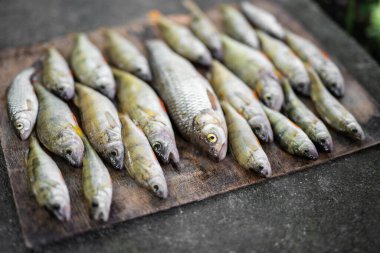 Bir balıkçı tarafından tahtaya serilmiş güzel bir balık avı.