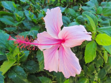 Güzel bir şamandıraya yakın çekim