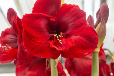 Güzel bir şamandıraya yakın çekim