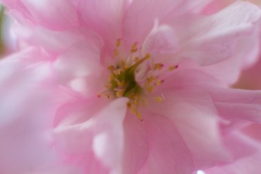 Güzel bir şamandıraya yakın çekim