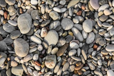 Sahildeki deniz taşlarının dokusu