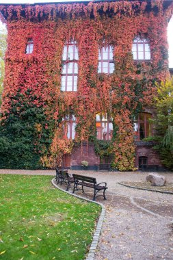 Gece Wroclaw 'daki nehir kıyısında aydınlatılmış güzel bir katedral.